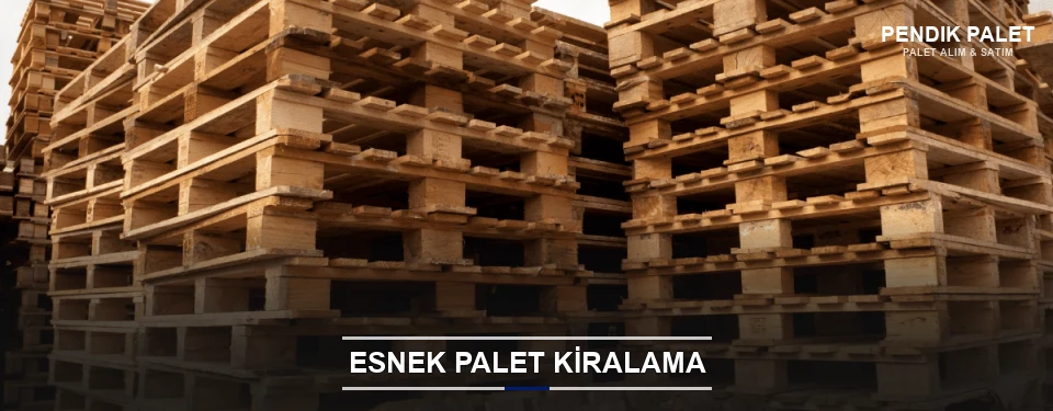 Pendik Uygun Fiyatlı Palet Kiralama